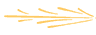 Left divider