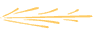 Right divider